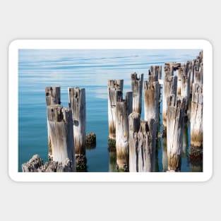 Old wooden piles in clear blue water in Melbourne, Australia. Sticker